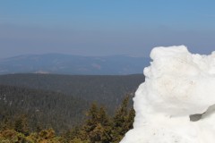2014-03-30 Pradziad