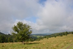 2014-08-17 Terchova