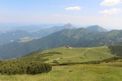 image003