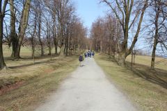 2016-04-03 Niski Jesionik (CZ)