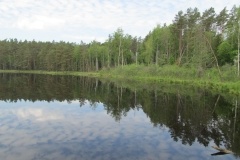 IMG_0536