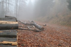 2016-11-06 Łamana Skała
