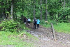 2017-06-11 46 Rajd po Groniach (aktualizacja nr 2: 07.07.2017 r.)