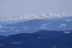 DSCF4836