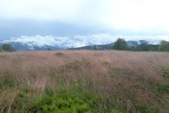 2019-07-14 Mogielica