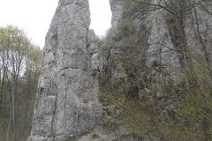 DSCN4207