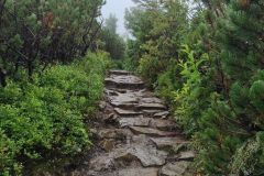 2022-07-31 Babia Góra