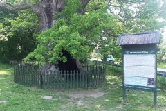 2023-05-21-28 Elbląg