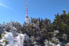 2024-03-17  Pradziad