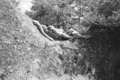 Sulovske-9