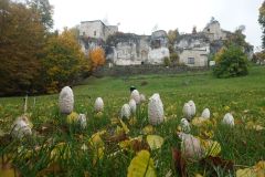 2025-10-12  Ogrodzieniec