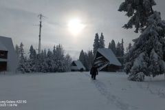 Termy-6