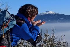 IMG-20260202-WA0001