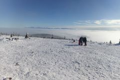 IMG-20260202-WA0016
