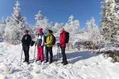 IMG-20260202-WA0019