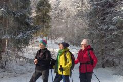 IMG-20260202-WA0021