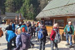 Fatra-17