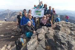 Fatra-22