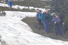 Fatra-26