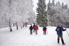 Wycieczki 2011